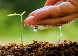 Županija Splitsko-dalmatinska potiče osnivanje obiteljskih poljoprivrednih gospodarstava