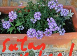 Zbilja, sve u našoj duši šapće ili viče…