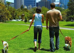 OBAVIJEST: POJAČAN NADZOR PROVOĐENJA ODLUKE O UVJETIMA I NAČINU DRŽANJA KUĆNIH LJUBIMACA