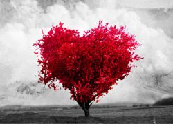 Nagradni natječaj “Ljubav je…”