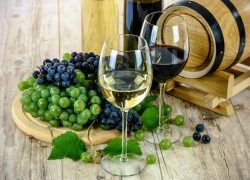 Kako uspješno promovirati vinski turizam?
