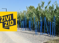 ČLANOVI ŽIVOG ZIDA IZ SOLINA: Grad Solin širi neistinu po pitanju financiranja EU projekata